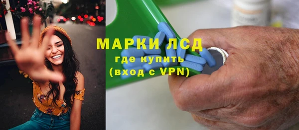 ГАЛЛЮЦИНОГЕННЫЕ ГРИБЫ Аркадак