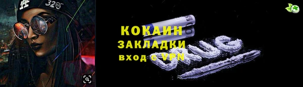 ГАЛЛЮЦИНОГЕННЫЕ ГРИБЫ Аркадак