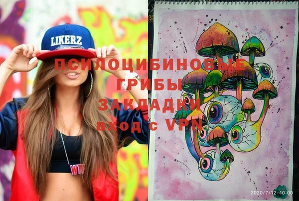 ГАЛЛЮЦИНОГЕННЫЕ ГРИБЫ Аркадак