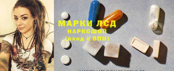 ГАЛЛЮЦИНОГЕННЫЕ ГРИБЫ Аркадак