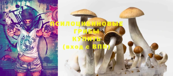 ГАЛЛЮЦИНОГЕННЫЕ ГРИБЫ Аркадак