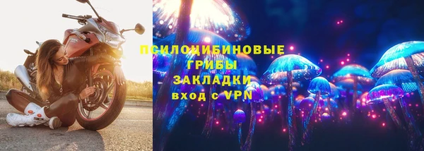 дмт Арсеньев
